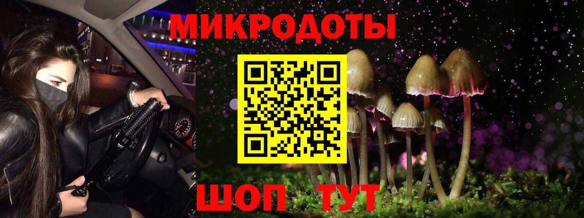 Галлюциногенные грибы MAGIC MUSHROOMS Ишим